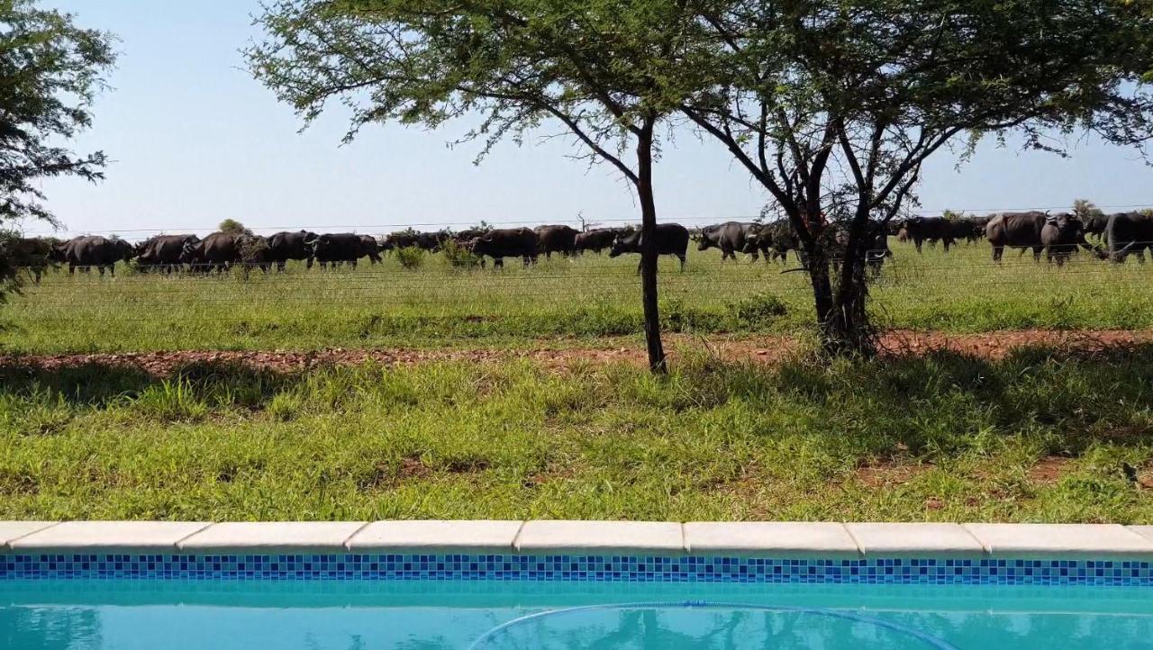 Ferienhaus Lindi Lodge, Mjejane Game Reserve