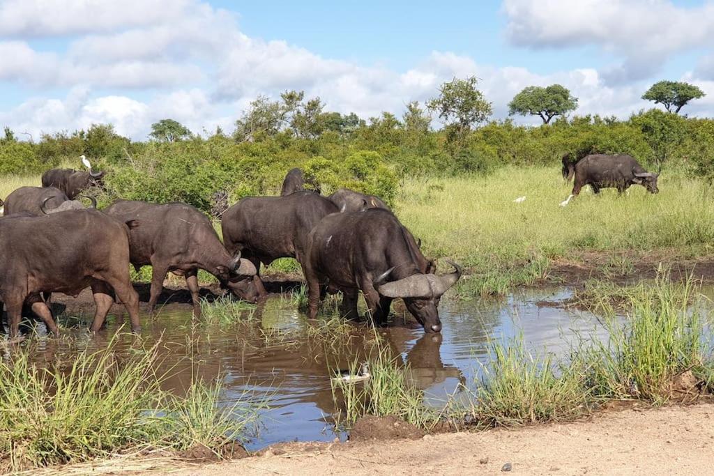 Ferienhaus Lindi Lodge, Mjejane Game Reserve Hectorspruit