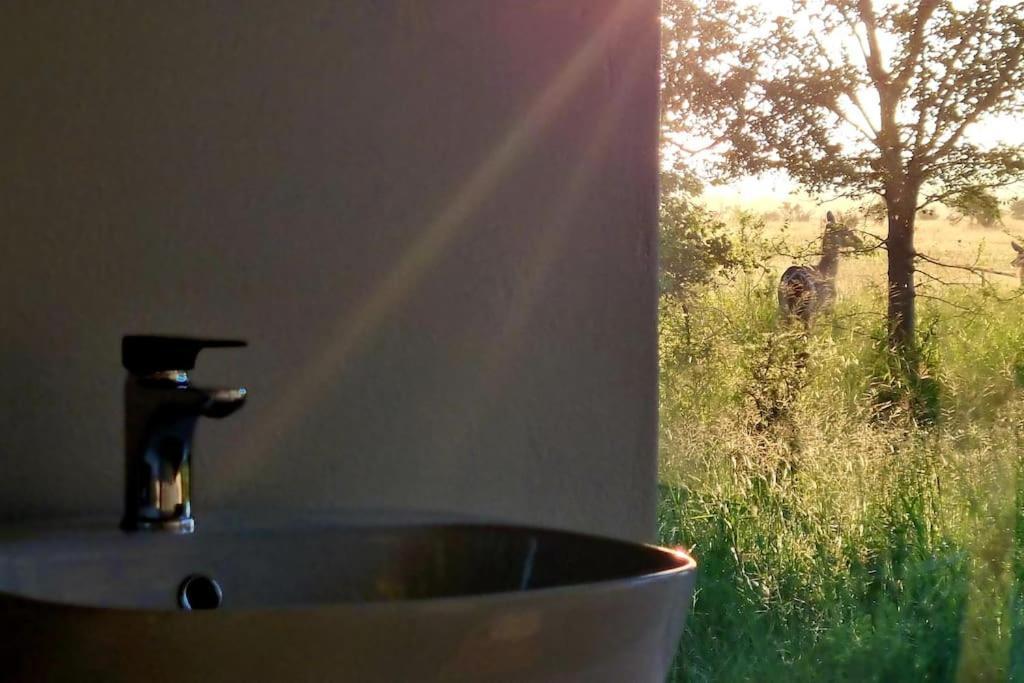 Lindi Lodge, Mjejane Game Reserve