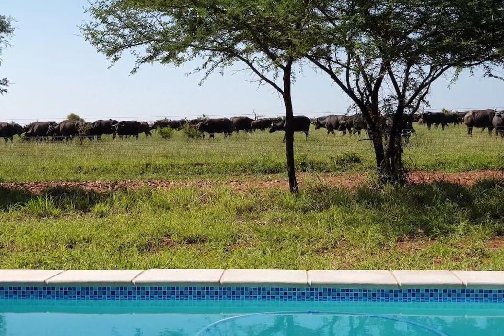 Lindi Lodge, Mjejane Game Reserve *