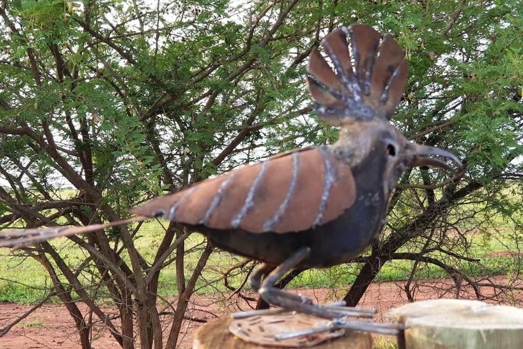 Ferienhaus Lindi Lodge, Mjejane Game Reserve