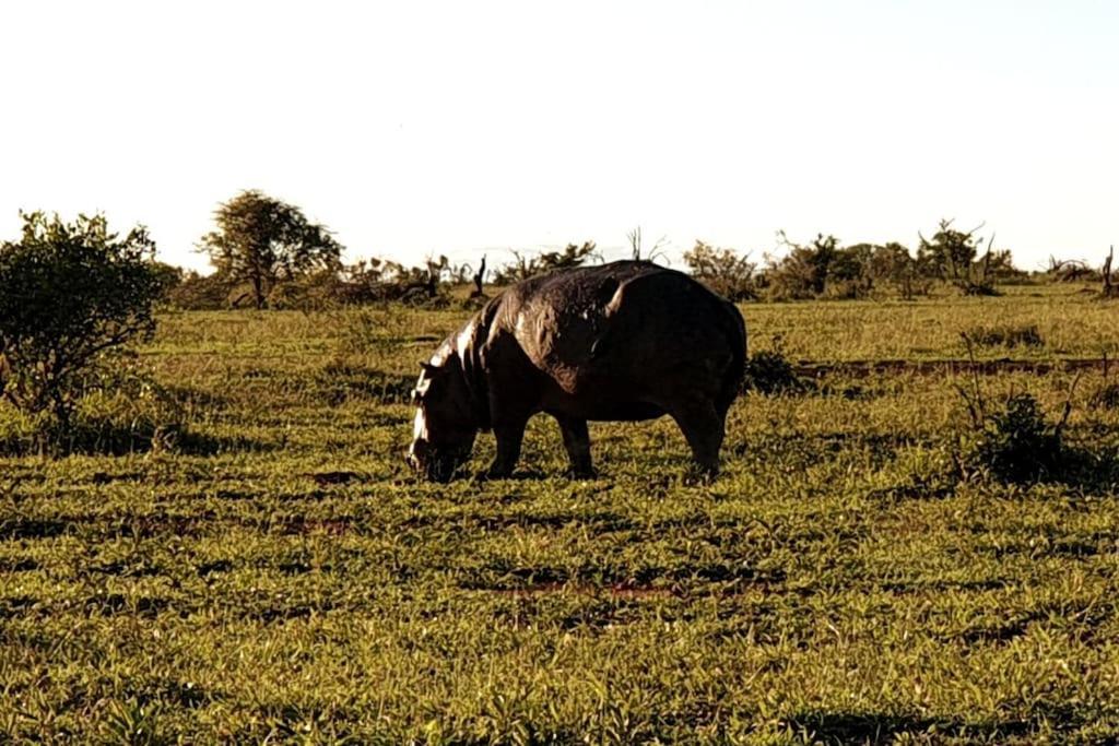 Ferienhaus Lindi Lodge, Mjejane Game Reserve Hectorspruit