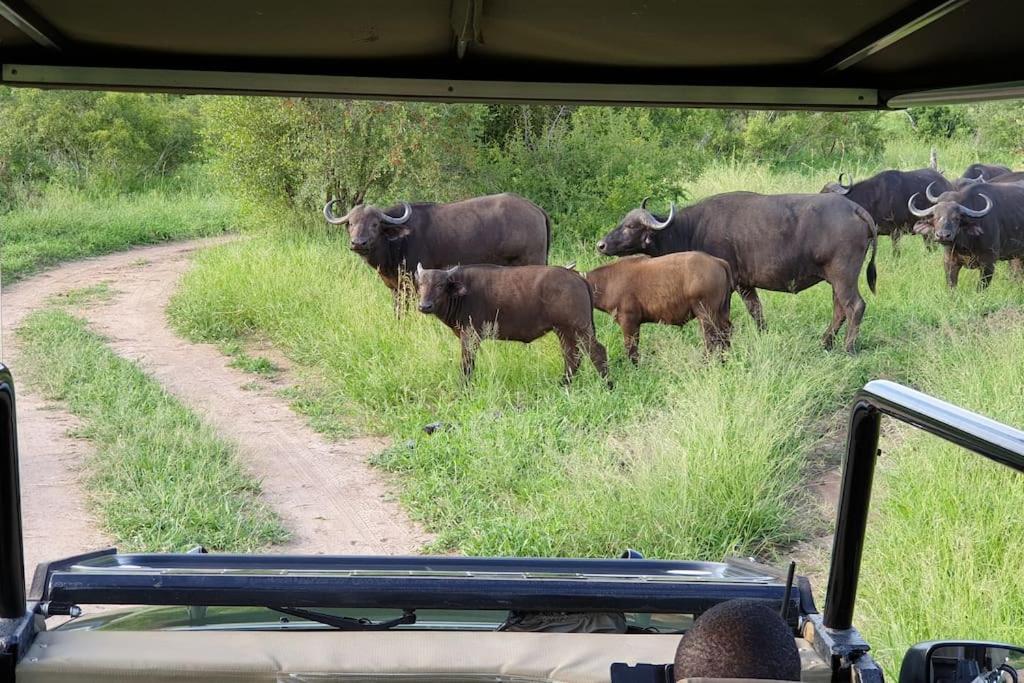 Lindi Lodge, Mjejane Game Reserve Ferienhaus Hectorspruit